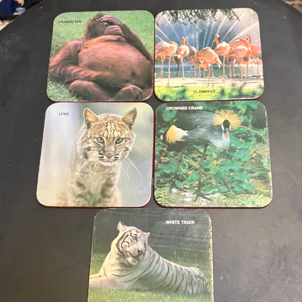 Animal Themed Coasters Set